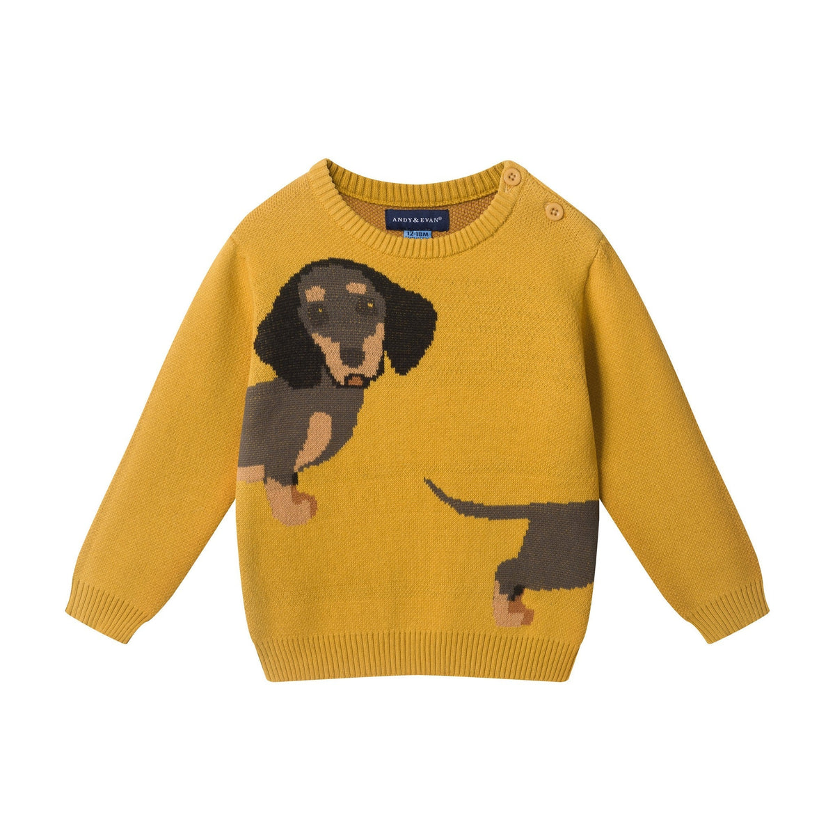 Infant Sweater Knit Set | Hot Diggity Dog