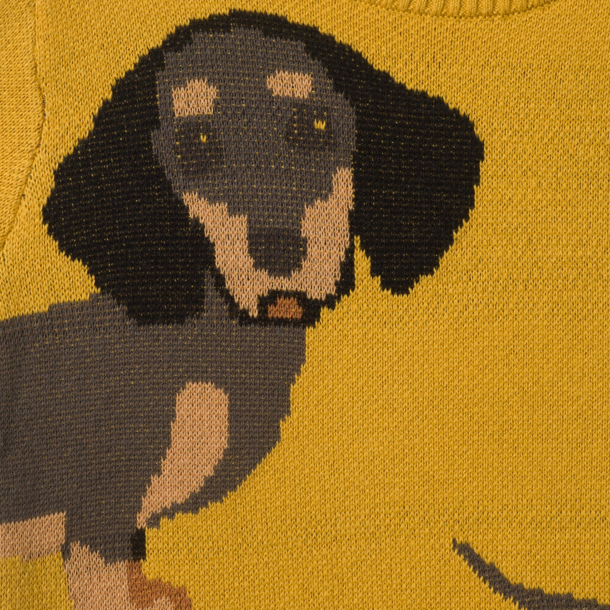 Infant Sweater Knit Set | Hot Diggity Dog