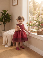 Red Ruby Bow party dress